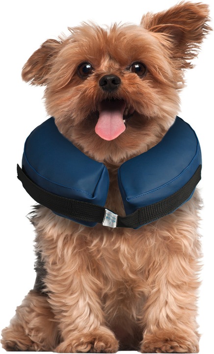 Actual product image Karlie Inflatable dog collar (Dog)