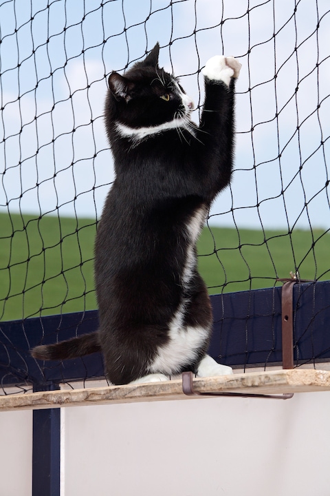 Actual product image Karlie Cat protection nets