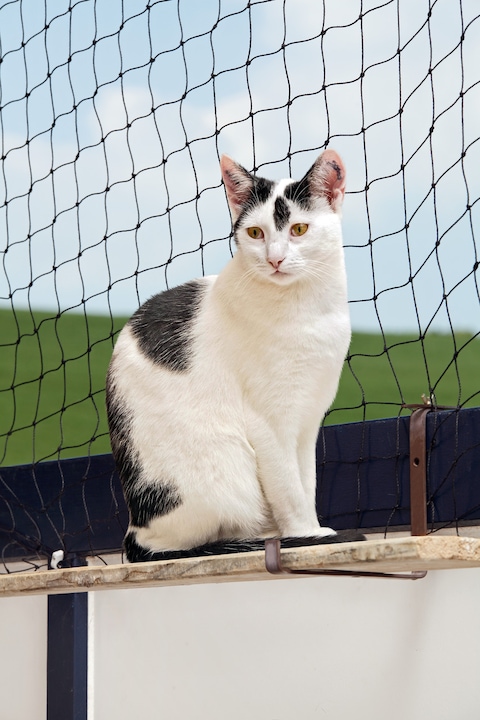 Actual product image Karlie Cat protection nets