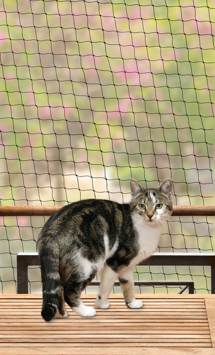 Actual product image Karlie Cat protection nets