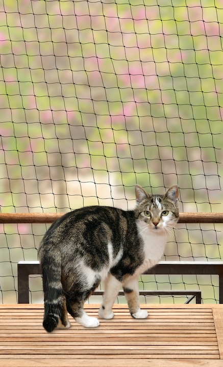 Image du produit Karlie Filets de protection pour chats