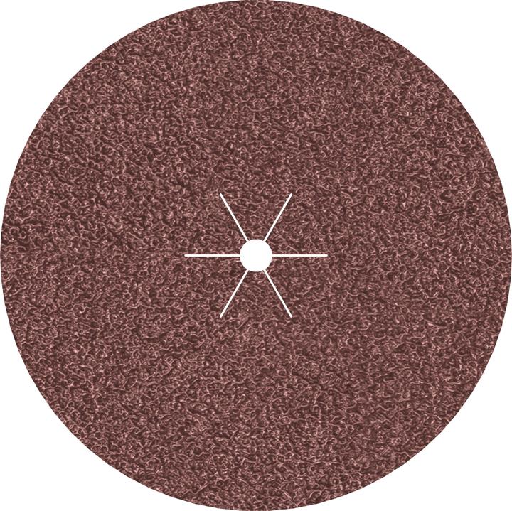 Actual product image Bosch Professional Zubehör PRO F460 sanding sheet, 125 mm, G40 (40)