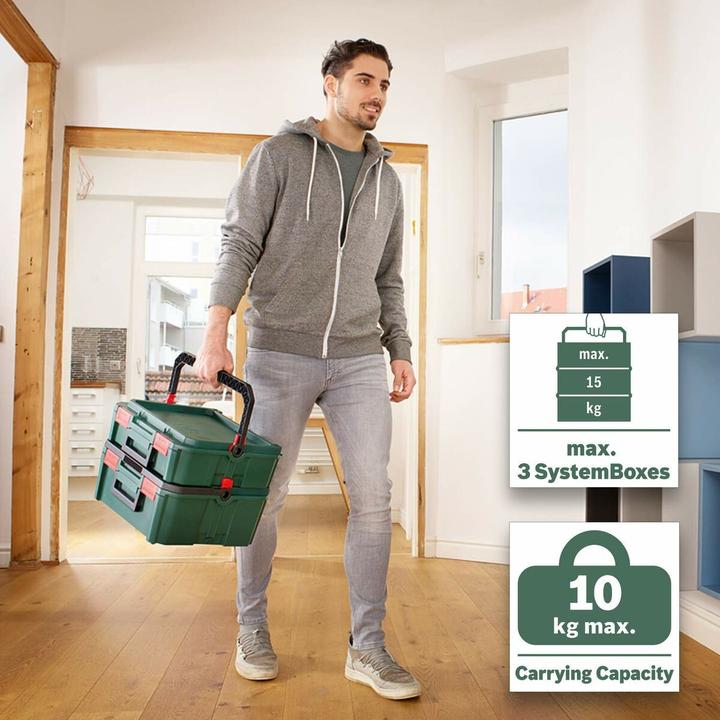 Actual product image Bosch Home & Garden Single SystemBox size M (1 pieces)