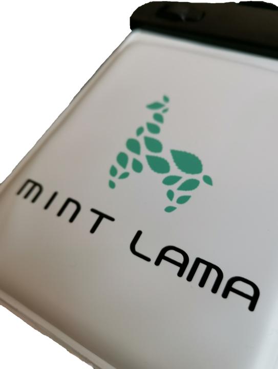 Image du produit Mint Lama Handy Hülle