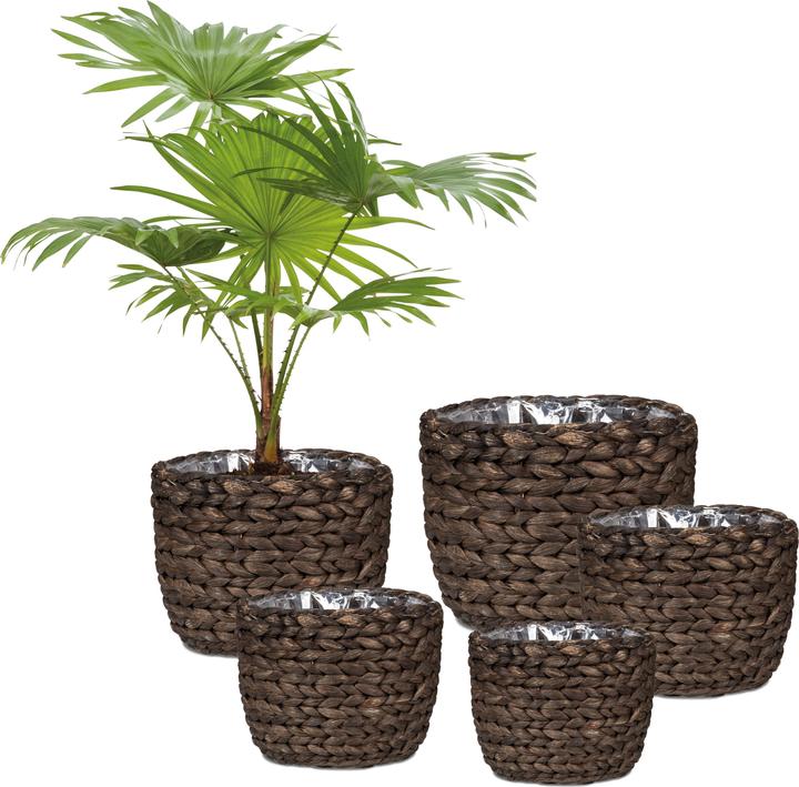 Immagine prodotto Scheurich Giacinto d'acqua 28, fioriera/vaso in vimini in giacinto d'acqua Colore: Marrone, 28 (28 cm)