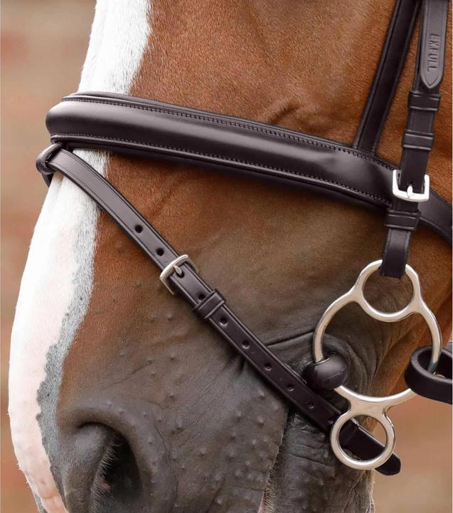 Immagine prodotto Premier Equine Delizioso