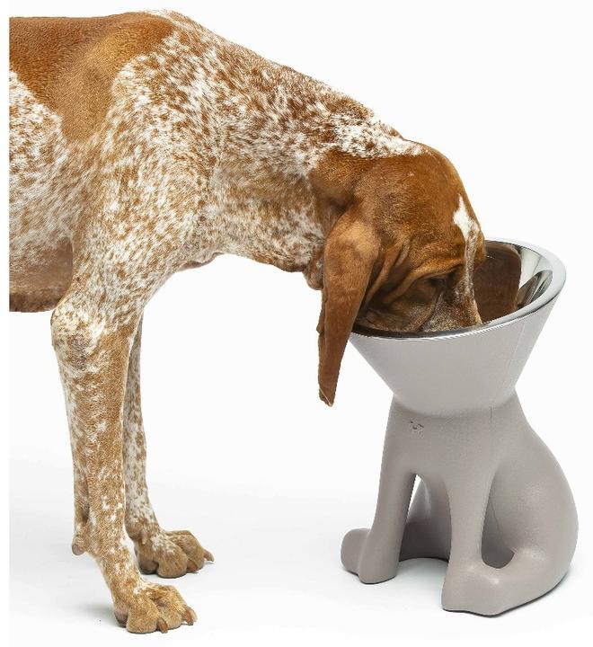 Image du produit United Pets Elisabeth (110 cl)