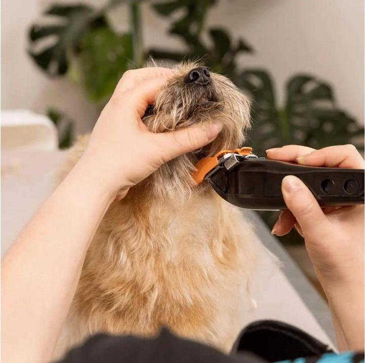 Produktbild Wahl Multi-Cut Animal Clipper, Produkttyp: Schermaschine (Hund)