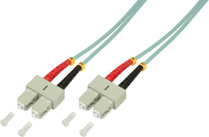 Image du produit LogiLink Câble de réseau (CAT6, 0.50 m)