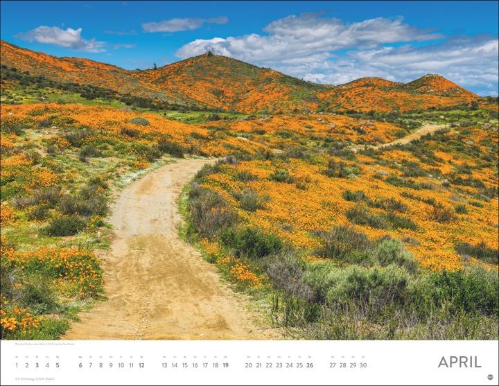 Actual product image Auf Traumpfaden Posterkalender 2026 (44 x 34 cm)