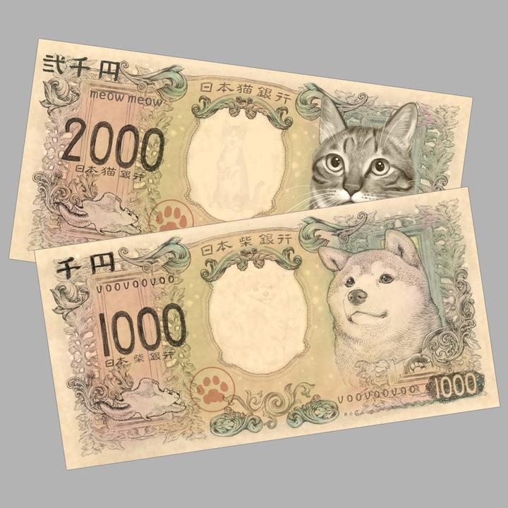 Actual product image Space Factory Shiba Inu & Cat Yen Banknote Clear Ticket Folder Set