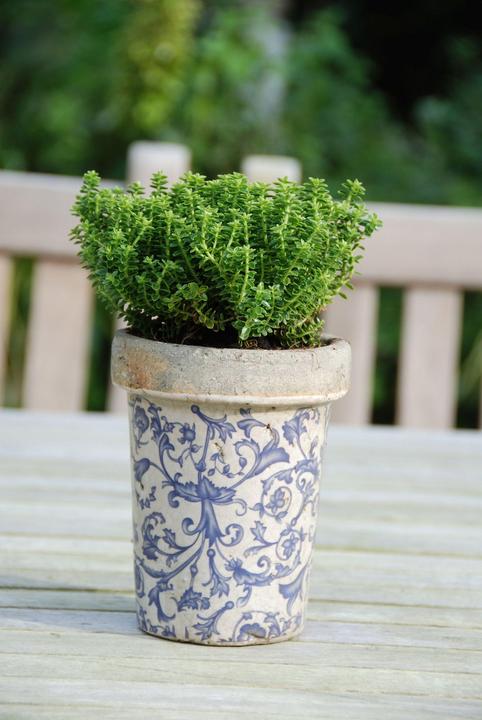 Image du produit Esschert Design Tom long vieilli