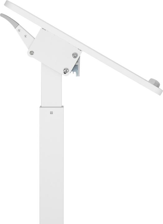 Produktbild Reflecta Dino