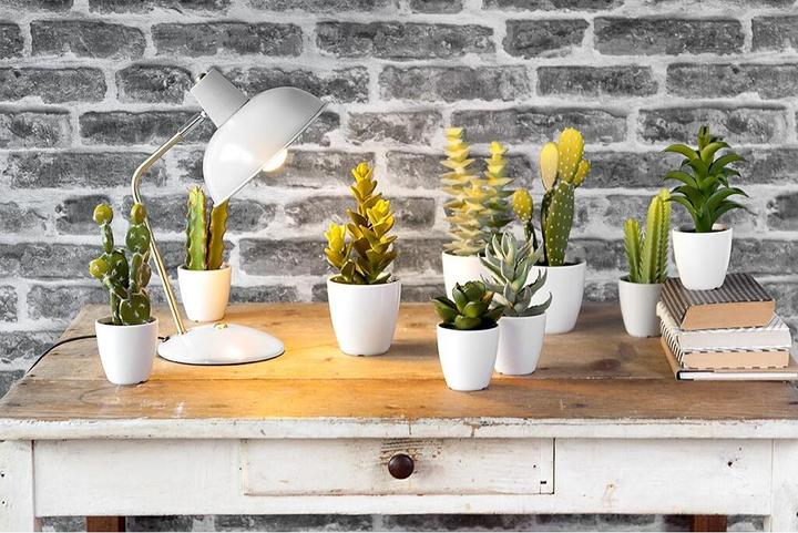 Immagine prodotto Leitmotiv Cappuccio (E14)