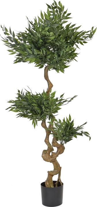 Immagine prodotto Beliani Ruscus Tree (166 cm)