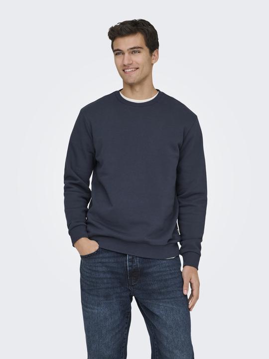 Actual product image Only & Sons Onsceres Crew Neck Noos (XS)