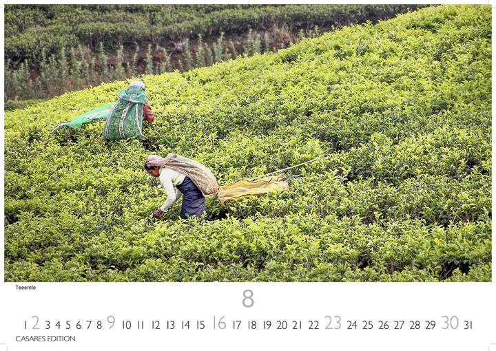 Produktbild Sri Lanka 2026 S 24x35cm (24 x 35 cm, Deutsch)