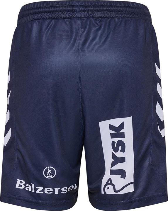 Actual product image hummel SG Flensburg-Handewitt 24/25 HEIM SHORTS KIDS (116)