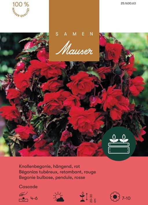 Image du produit Samen Mauser Begonia Cascade Bégonias suspendus (Graines de fleurs)