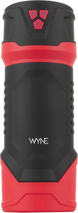 Actual product image Wyne Masturbator