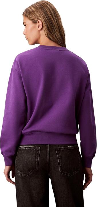 Produktbild Calvin Klein Jeans Ls Archive Logo French Terry Rlx (M)