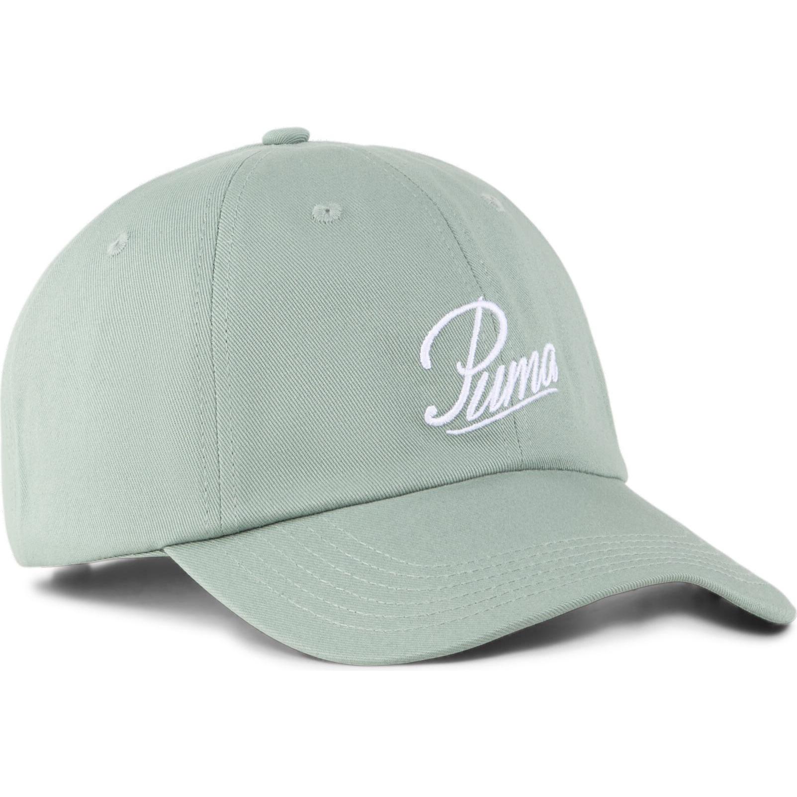 Puma, Herren, Cap, ESS SCRIPT LOGO Dad Cap, Grün, (S)