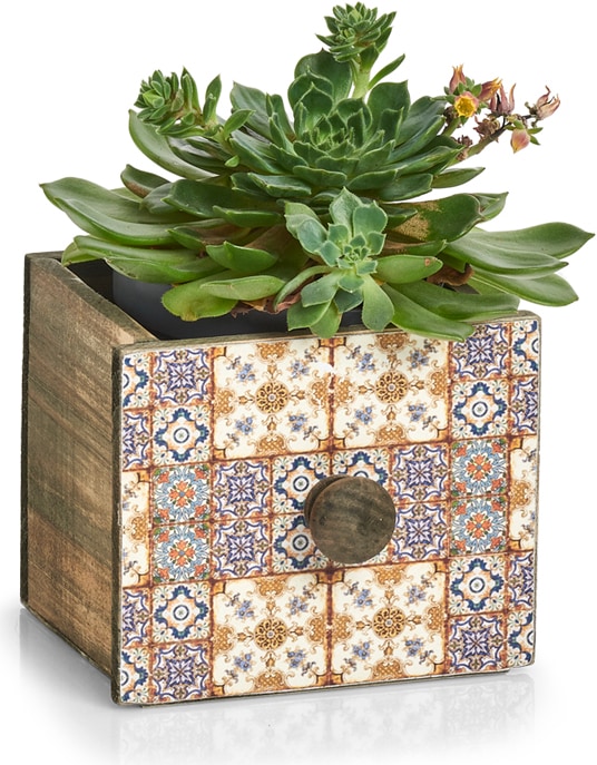 Zeller Present Mosaic (12 x 13.5 x 11.5 cm, 1.86 l)