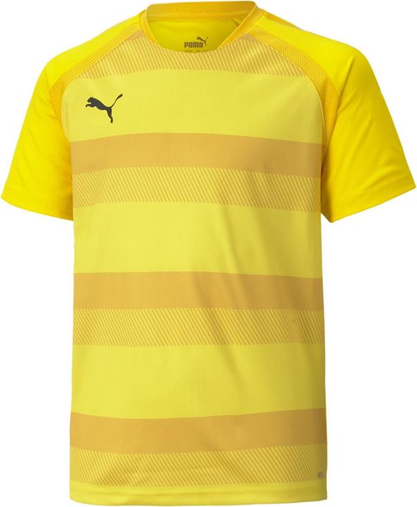 Actual product image Puma teamVISION Jersey Jr-704928 (116)