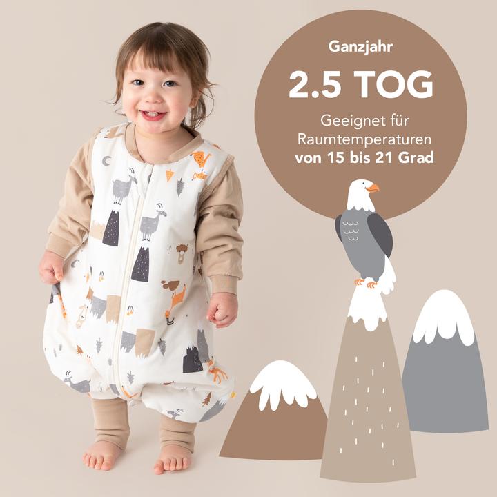 Immagine prodotto Schlummersack Sacco nanna con piedini e copripiedi, 2.5 TOG (60 cm, 2,5 TOG, Tutto l'anno)