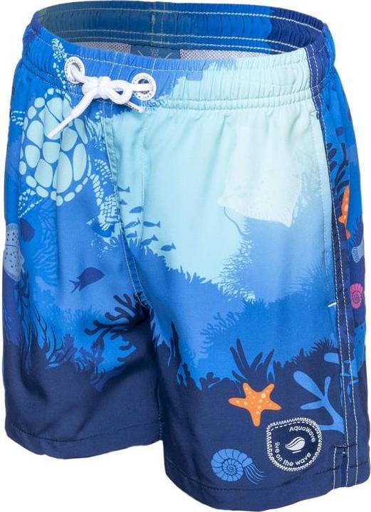 Image du produit Aquawave Bali Junior Shorts (134)