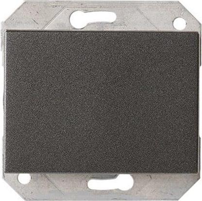 Actual product image Vila PLUG P710-010-02V ANT XP500