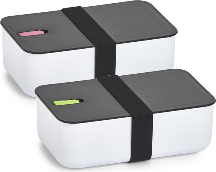 Actual product image Zeller Present Lunch box