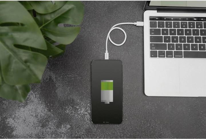 Image du produit Digitus USB type C - Lightning (2 m, USB 2.0, 18 W)