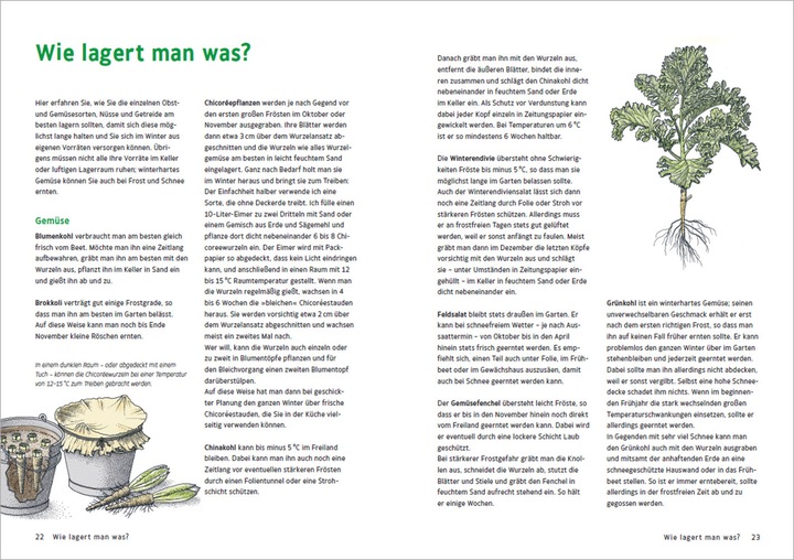 Produktbild Obst & Gemüse haltbar machen - Einlegen, Einkochen, Trocknen, Entsaften, Milchsäuregärung, Kühlen (Deutsch, Maren Bustorf-Hirsch, 2021)