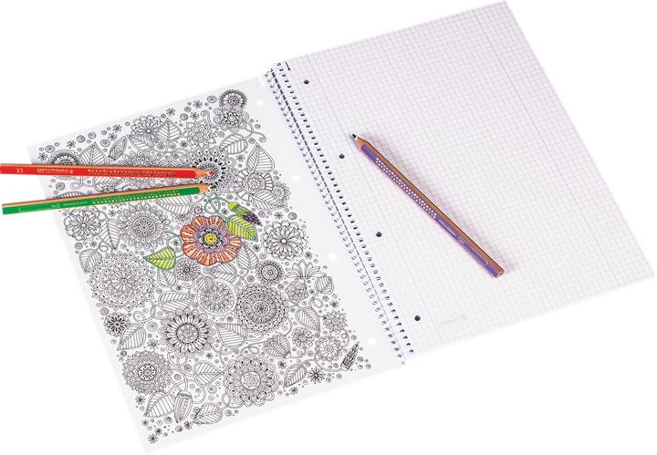 Actual product image Brunnen ZENart college notepad (A4, Checked)