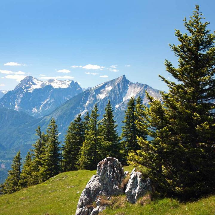 Produktbild Hefel Zirbendecke Wellness medium, Füllung: 100% Schafschurwolle mit Zirbenflocken (970 g, 135x200 cm)