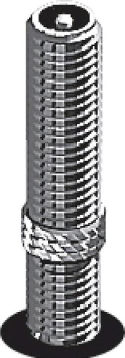 Actual product image Schwalbe Av6 (Schrader (AV), 20", 40 mm)
