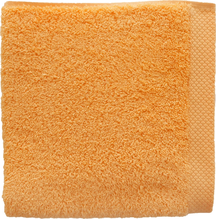 Actual product image Lasa Pure