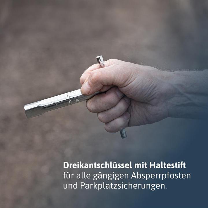Actual product image Dönges Key for bollard, Economy, triangular M12