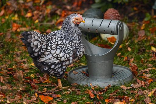 Actual product image Beeztees Feeding Station Chickens Play and Snack Tower, Grey