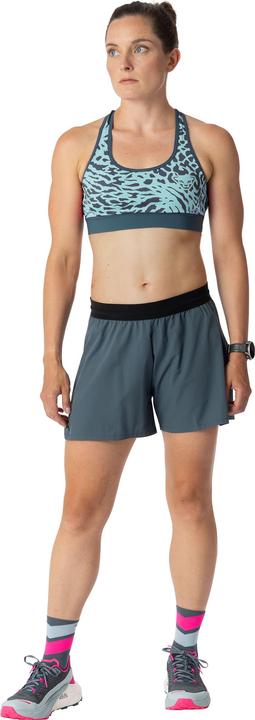 Produktbild Dynafit Alpine Graphic (XL)