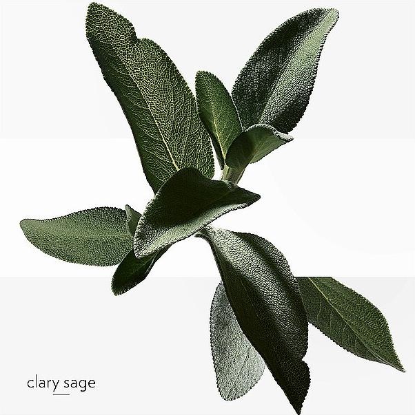 Actual product image Hermès H24 (Eau de toilette, 100 ml)
