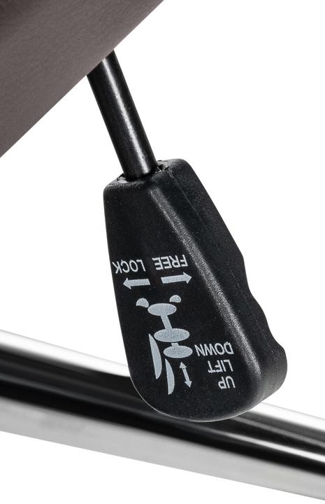 Immagine prodotto CLP Mollis (44 - 54 cm)