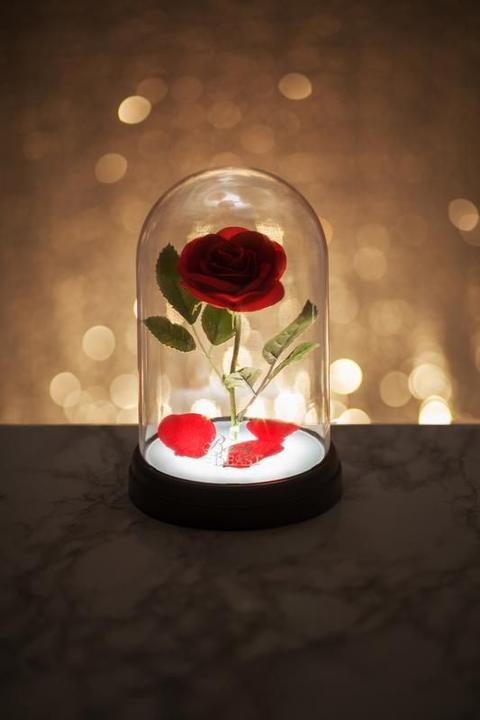 Immagine prodotto Paladone Products Rosa incantata