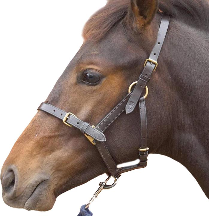 Immagine prodotto Hy Cavezza in pelle per puledri