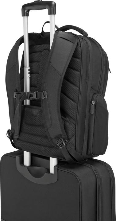 Image du produit Targus Voyageur d'affaires (30 l)