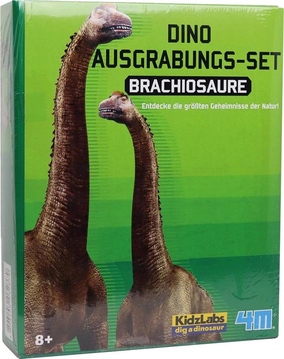 Actual product image 4M Dinosaur Excavation Brachiosaurus
