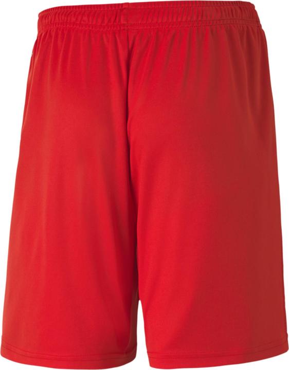 Image du produit Puma Short en tricot teamGOAL 23 jr-704263 (128)