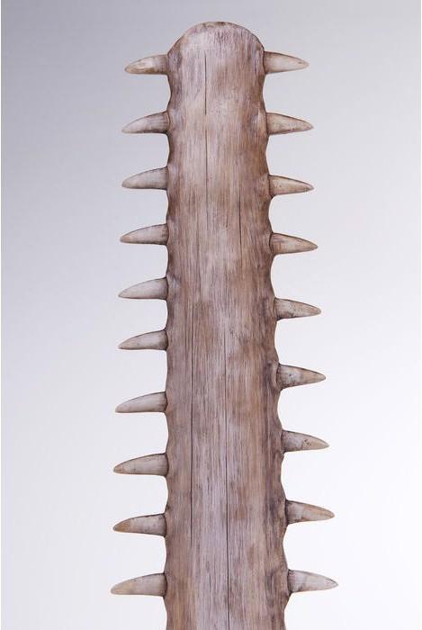Kare Design Figurine décorative Sawfish