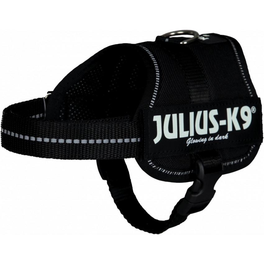 Julius-K9 Powergeschirr für kleinere Hunde ergonomisch (M, Hund, Allgemein), Halsband + Leine